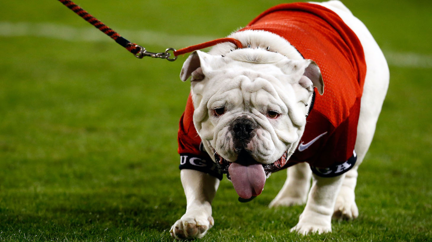 during the first half against the Georgia Southern Eagles at Sanford Stadium on November 21, 2015 in Athens, Georgia.