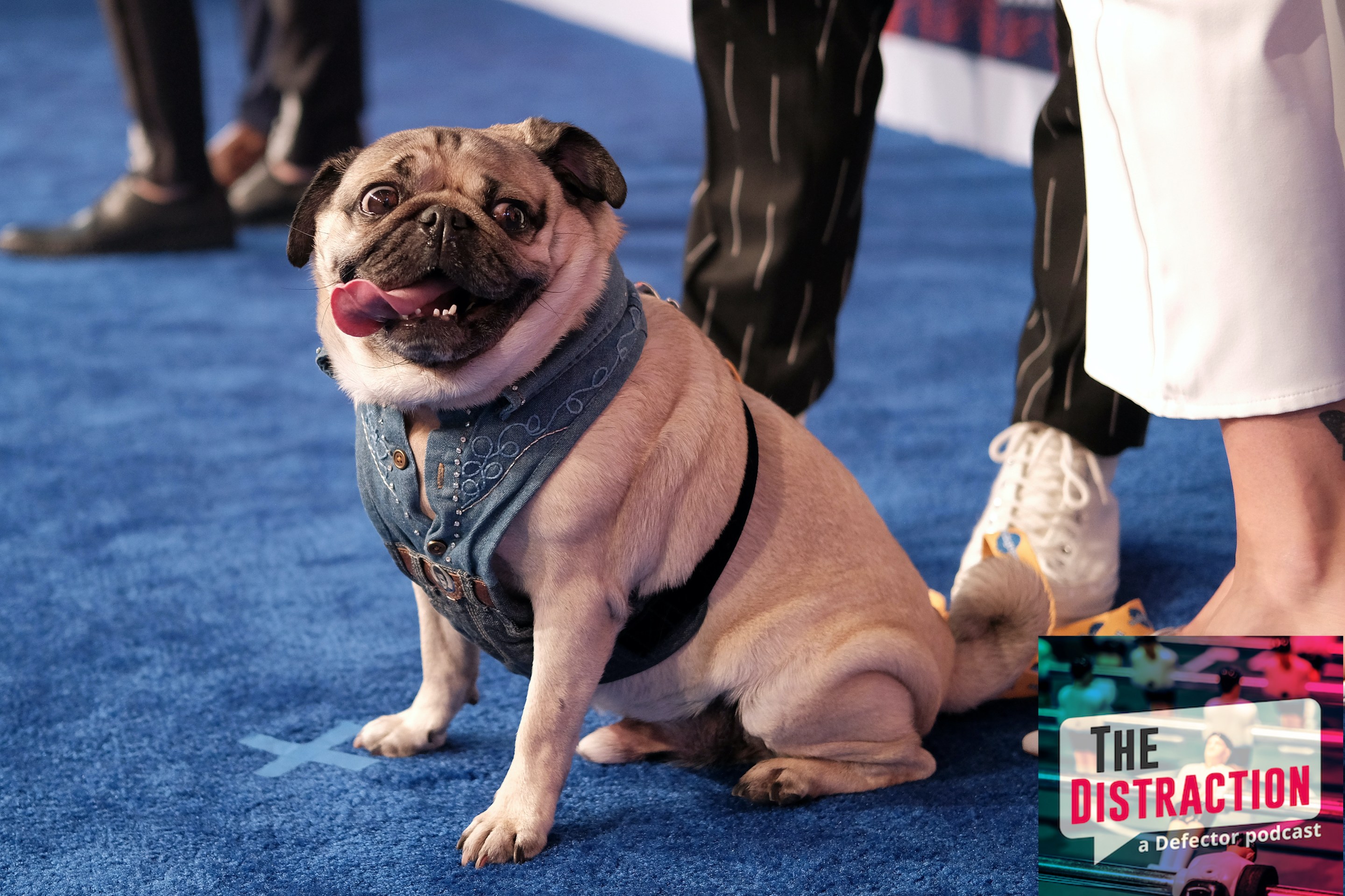 This is a photo of a dog named Doug The Pug at a Country Music Television event. Delightful!