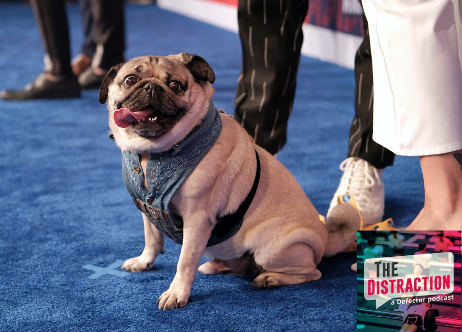 This is a photo of a dog named Doug The Pug at a Country Music Television event. Delightful!