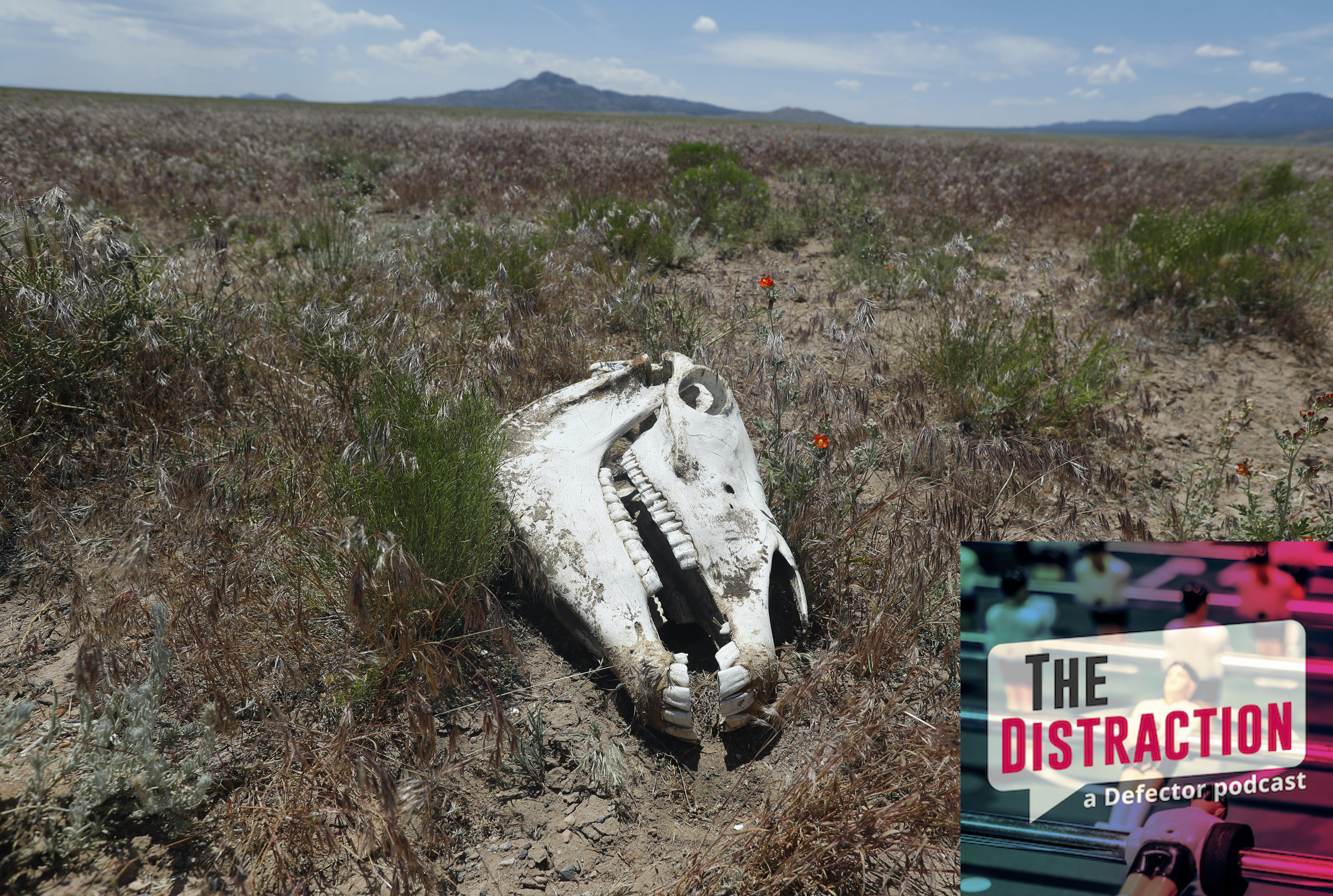 Talking Van Life And The Conspiracy Theory Singularity With Anna Merlan ...