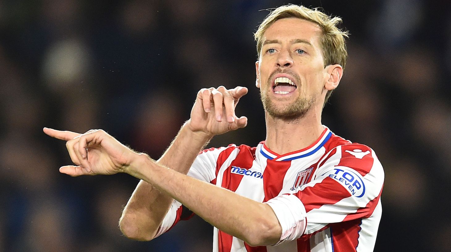 Stoke City's English striker Peter Crouch gives instructions to team-mates as he comes on as a substitute during the English Premier League football match between Brighton and Hove Albion and Stoke City at the American Express Community Stadium in Brighton, southern England on November 20, 2017.
