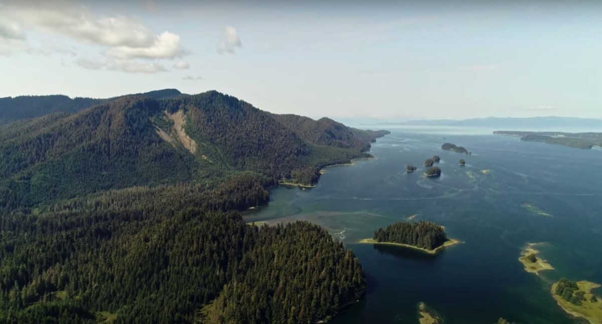 A coastal section of the Tongass National Forest