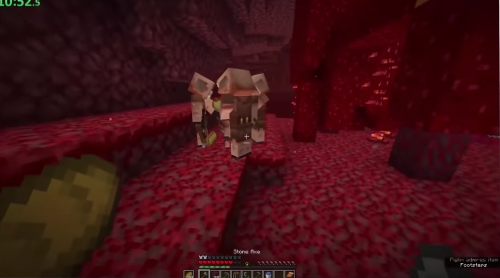 A screencap from Dream's record-setting run.