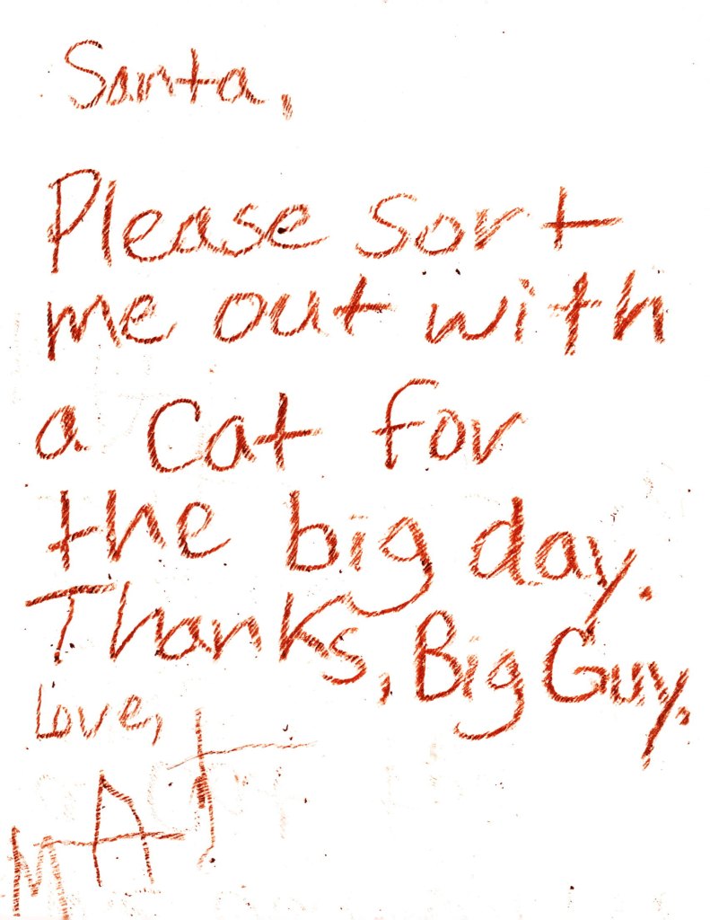 Dear Santa, please sort me out with a cat for the big day. Thanks, Big Guy.