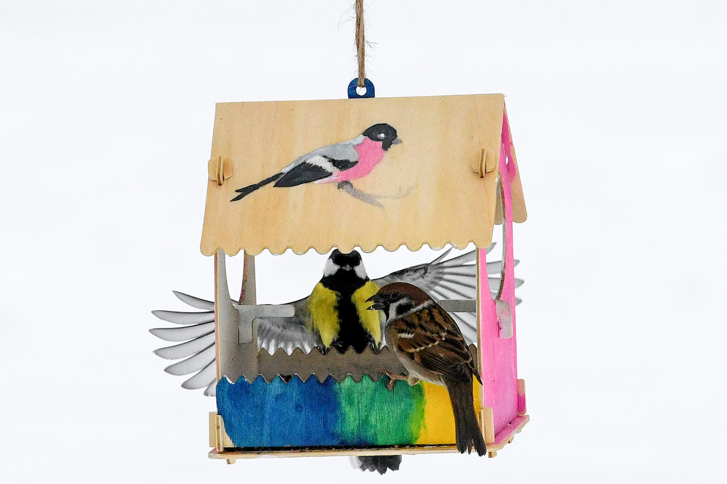 A tomtit and a sparrow feed from a bird feeder in a park in Moscow on January 31, 2019. (Photo by Kirill KUDRYAVTSEV / AFP) (Photo credit should read KIRILL KUDRYAVTSEV/AFP via Getty Images)