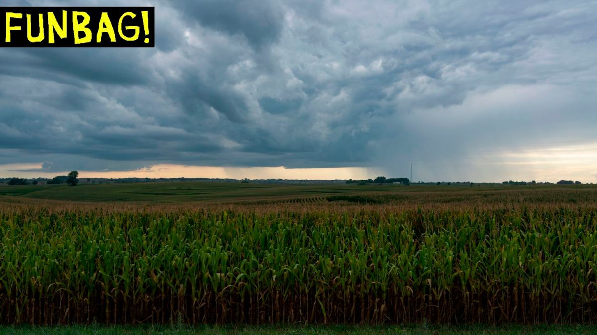 A rain storm is seen over a corn field in Oskaloosa, Iowa on August 15, 2019. (Photo by Alex Edelman / AFP) (Photo credit should read ALEX EDELMAN/AFP via Getty Images)
