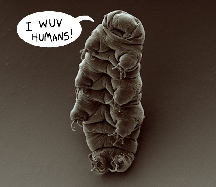 A sweet little tardigrade says hello.