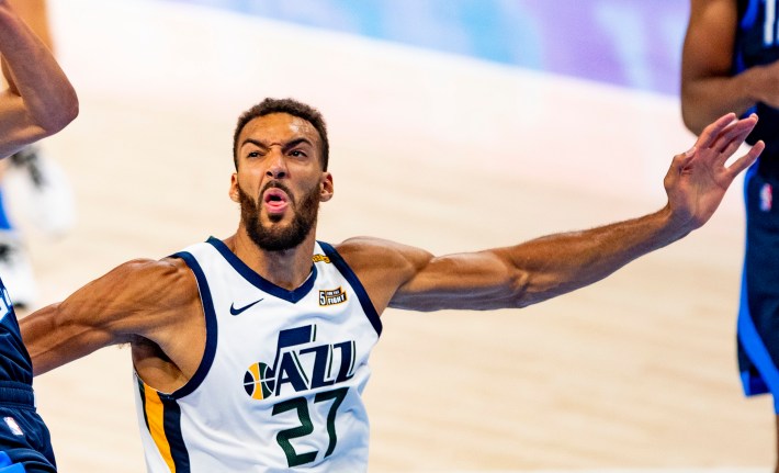 Rudy Gobert pulls a face