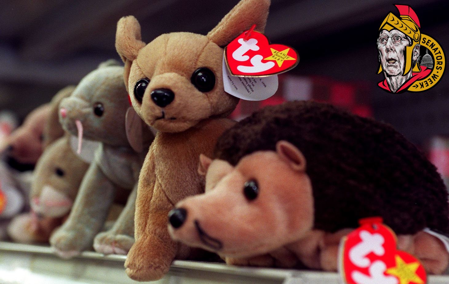 WASHINGTON, : Beanie Babies sit on the shelf of a variety store waiting for a new owner 01 September 1999 in Washington DC. The maker of Beanie Babies, Ty Inc., announced "All Beanies will be retired" as of 31 December 1999. AFP PHOTO Joyce NALTCHAYAN (Photo credit should read JOYCE NALTCHAYAN/AFP via Getty Images)