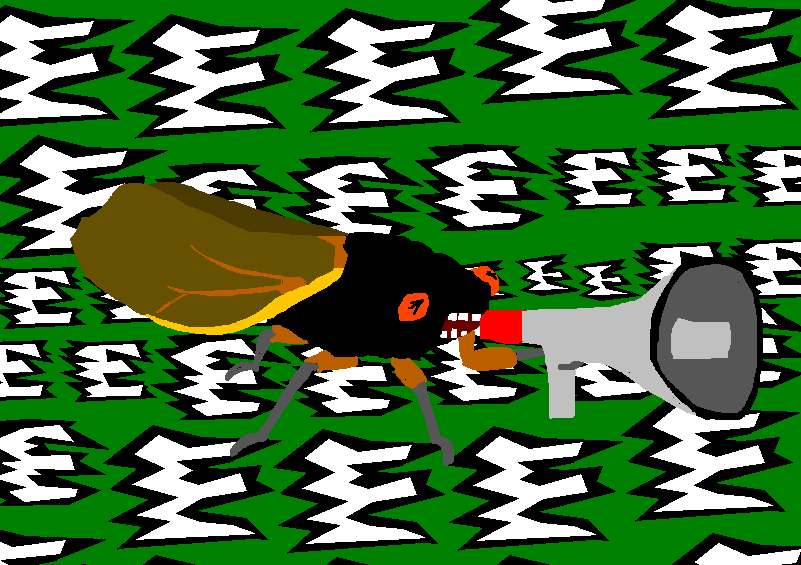 A cicada, screaming endlessly.
