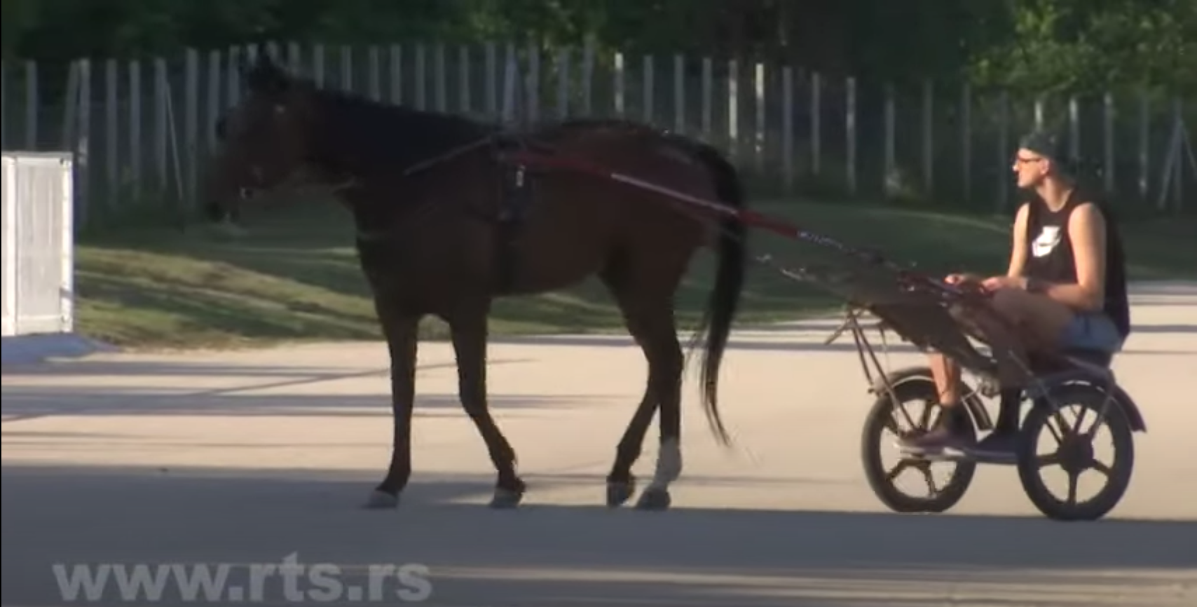 The Sports Highlight Of The Day Is Nikola Jokic Trotting With His Horse