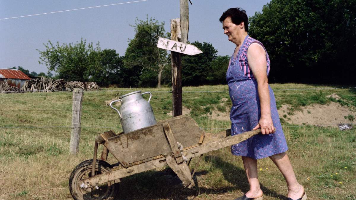 Coming back from collect water, a woman, deprived of drinking water in her house, pushes a wheelbarrow containing a large pitcher of water on August 03, 1990 in Saint-Martin-des-Besaces, France.