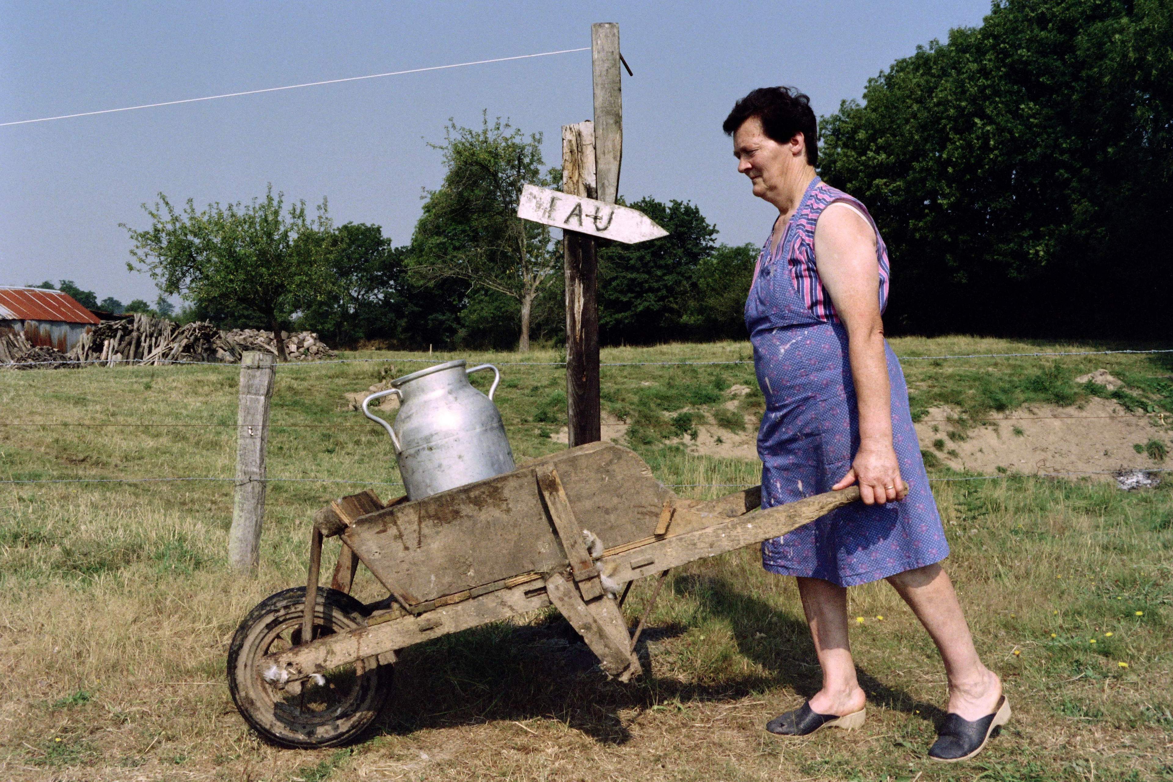 Coming back from collect water, a woman, deprived of drinking water in her house, pushes a wheelbarrow containing a large pitcher of water on August 03, 1990 in Saint-Martin-des-Besaces, France.