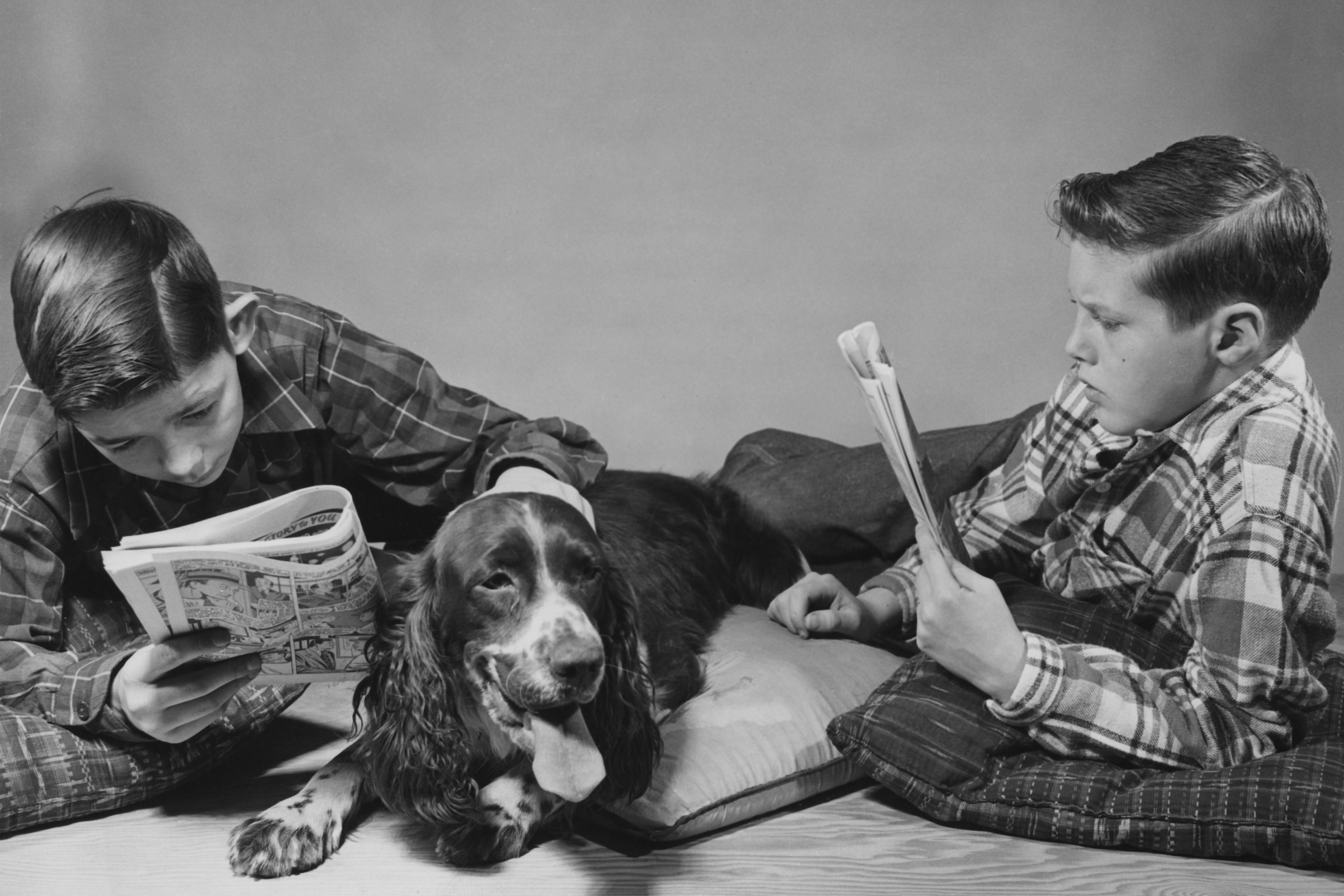 Two American boys reading comics in the company of a pet spaniel, circa 1955.