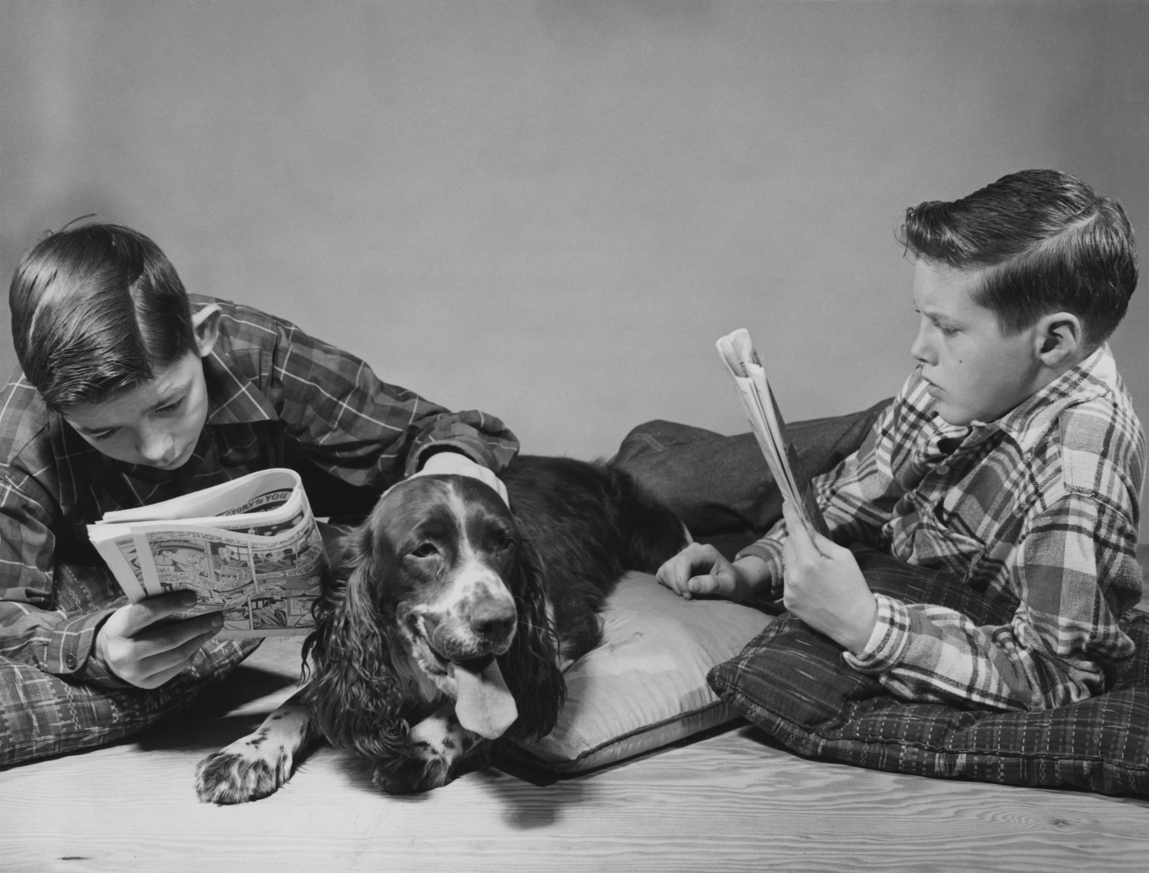 Two American boys reading comics in the company of a pet spaniel, circa 1955.