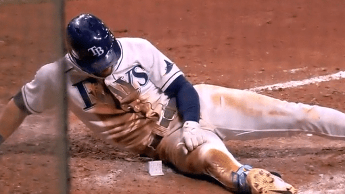 Kevin Kiermaier looks at a card after sliding into home