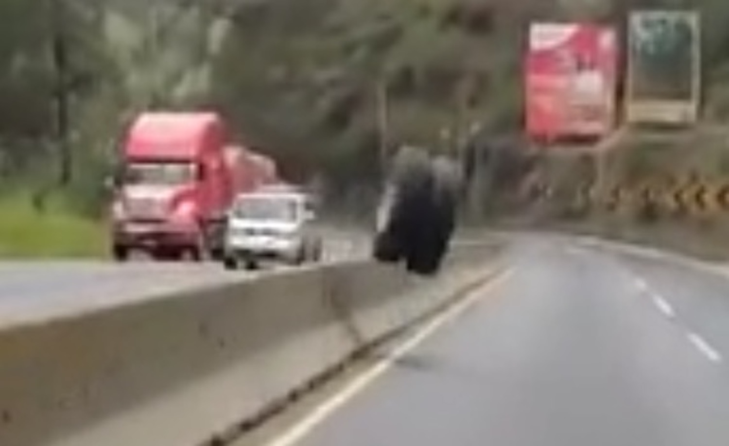 There he goes!