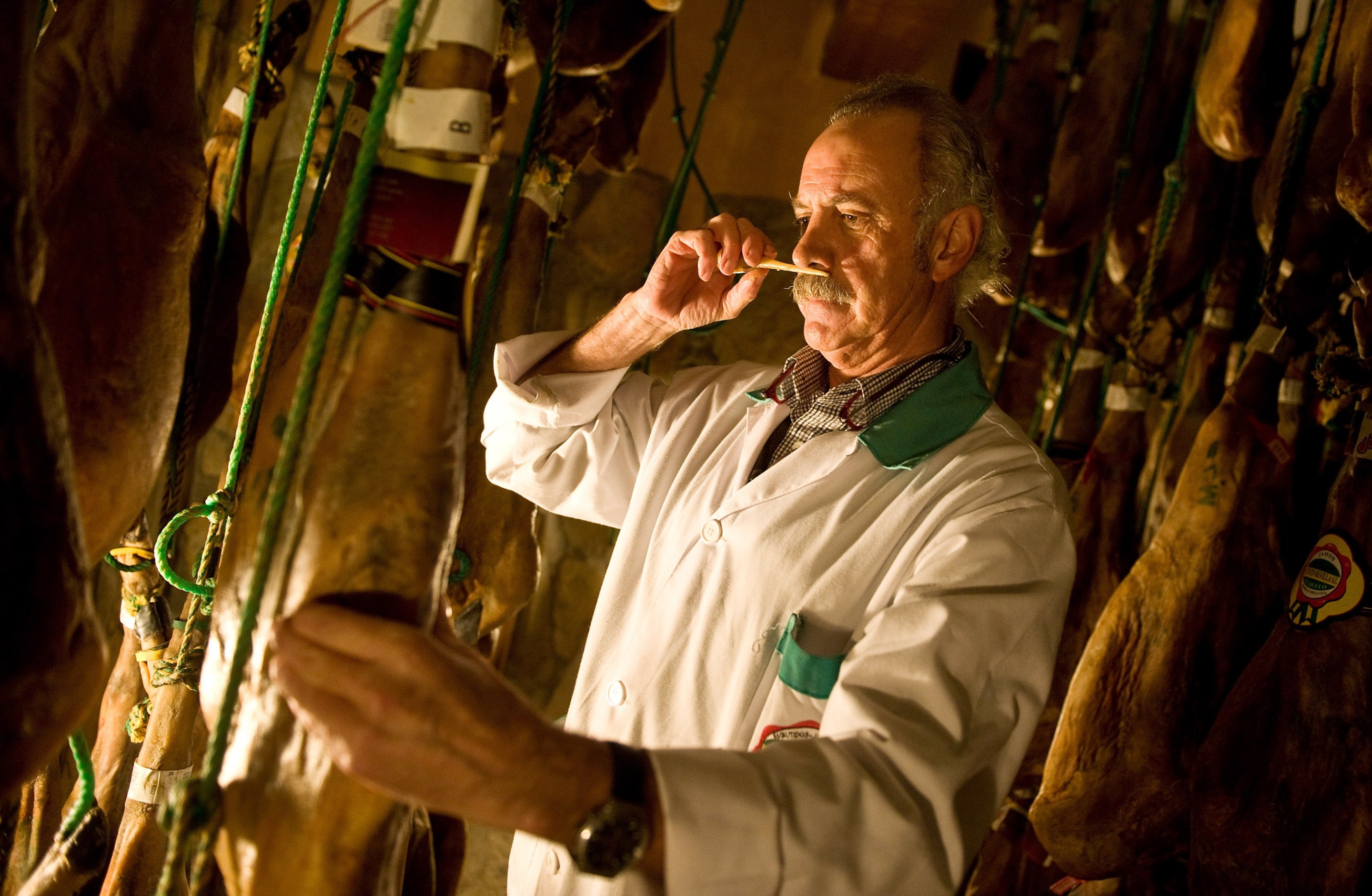 A ham sniffer smells a sample