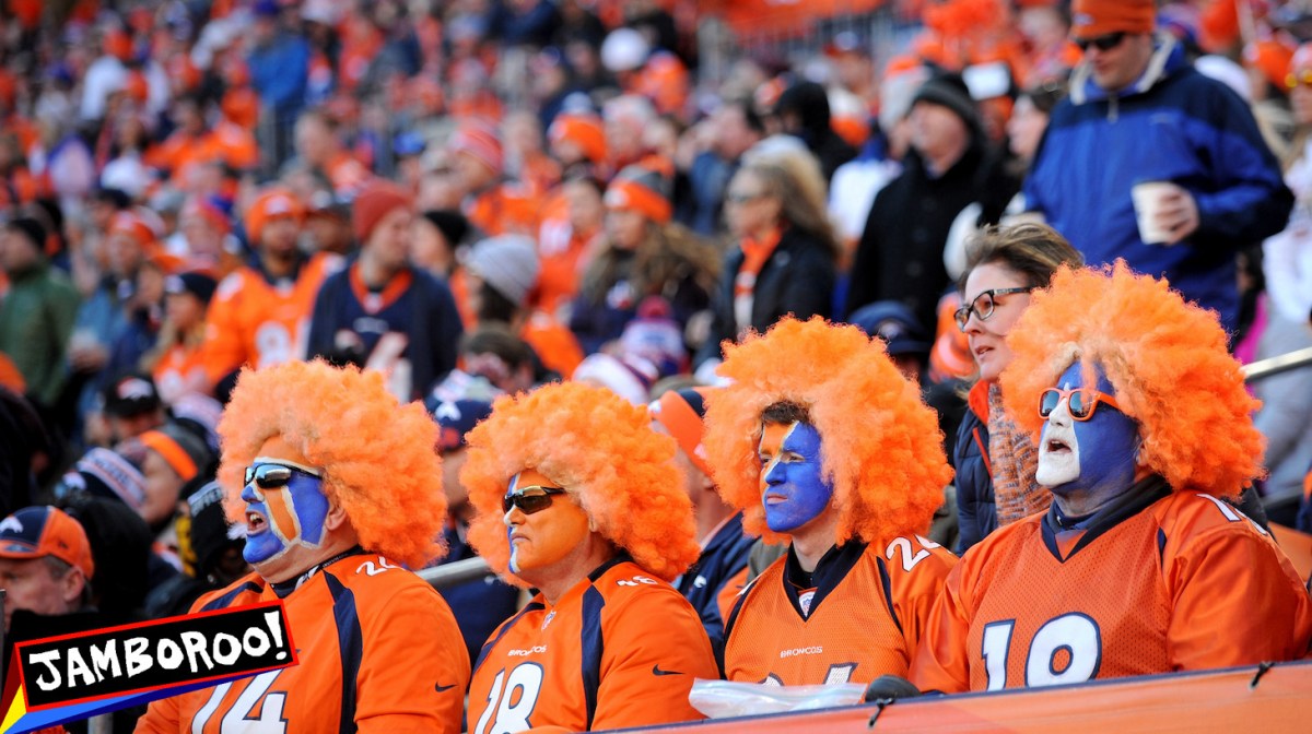 during the AFC Divisional Playoff Game at Sports Authority Field at Mile High on January 17, 2016 in Denver, Colorado.
