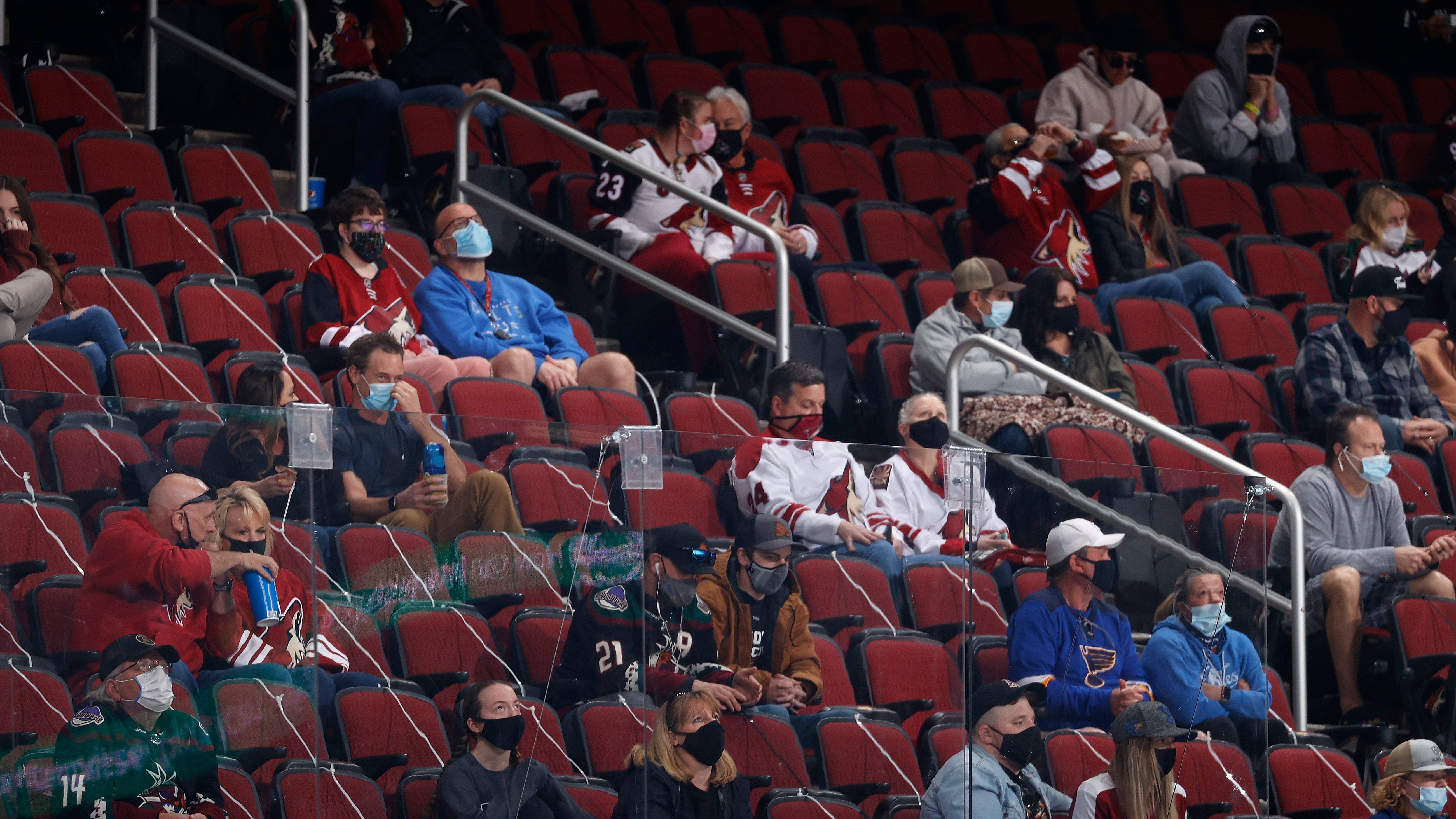 The Arizona Coyotes Consider Disappearing Before Our Very Eyes | Defector