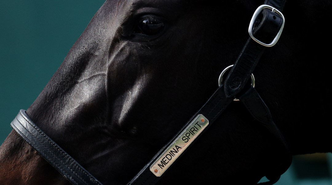 Dead Horse Responsible | Defector Dead Horse Responsible | Defector