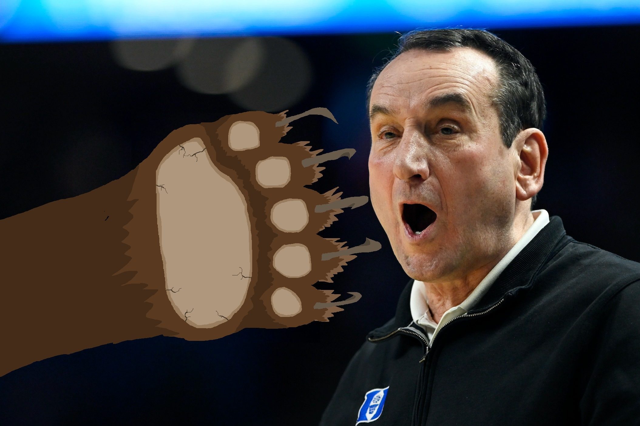 Coach K, and a grizzly paw