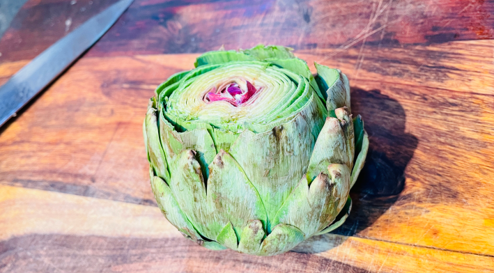 An artichoke with the stem and the leaf-tips cut off