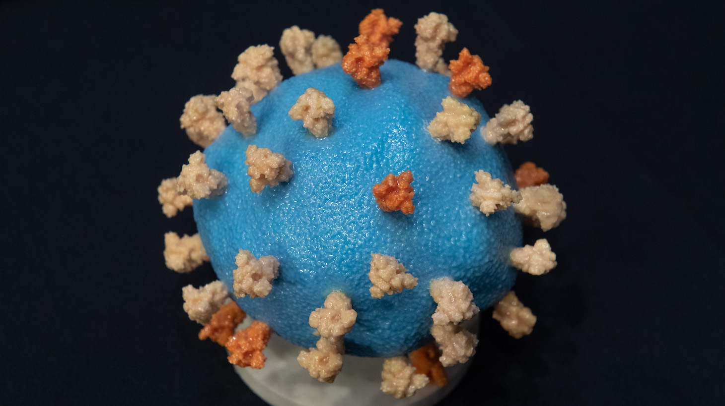 WASHINGTON, DC - JULY 2: A model of COVID-19, known as coronavirus, is seen ahead of testimony from Dr. Francis Collins, Director of the National Institutes of Health (NIH), during a US Senate Appropriations subcommittee hearing on the plan to research, manufacture and distribute a coronavirus vaccine, known as Operation Warp Speed, July 2, 2020 on Capitol Hill in Washington, DC. (Photo by Saul Loeb-Pool/Getty Images)