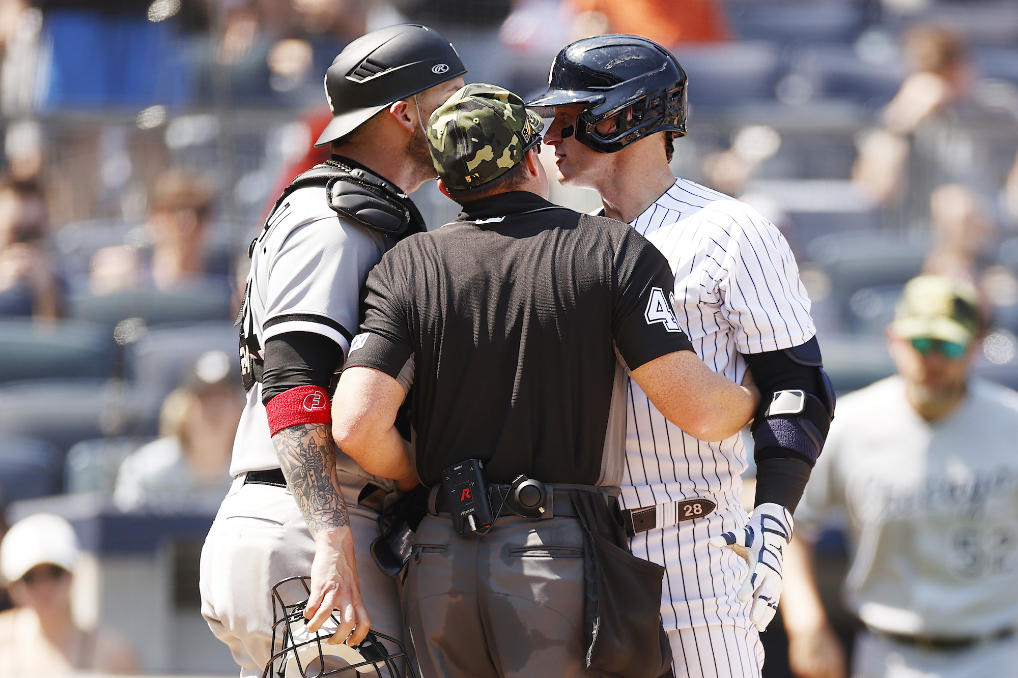 Yasmani Grandal and Josh Donaldson argue, with Nick Mahrley in between them.