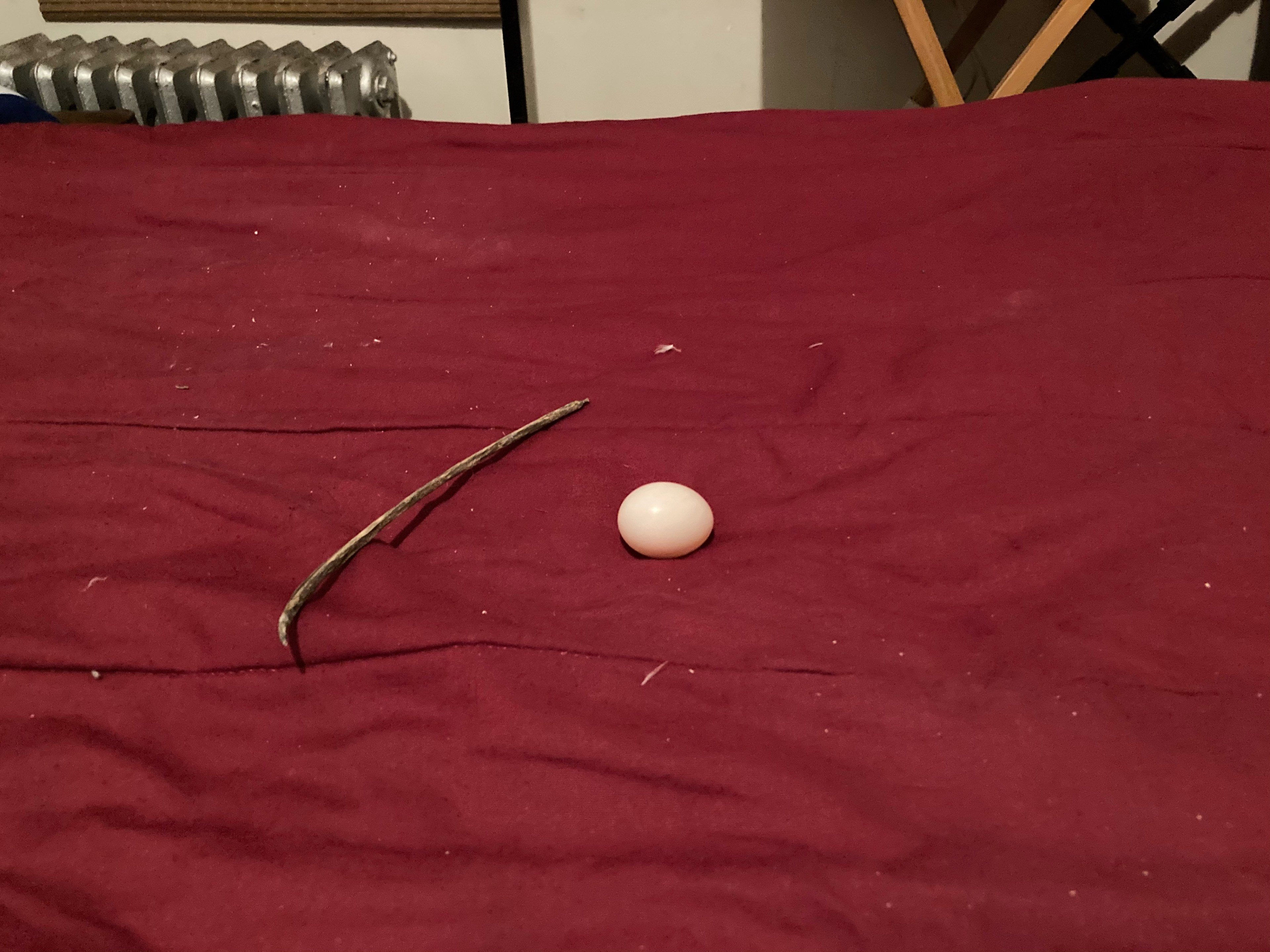 A pigeon nest comprising of a single stick and egg on top of a bed.