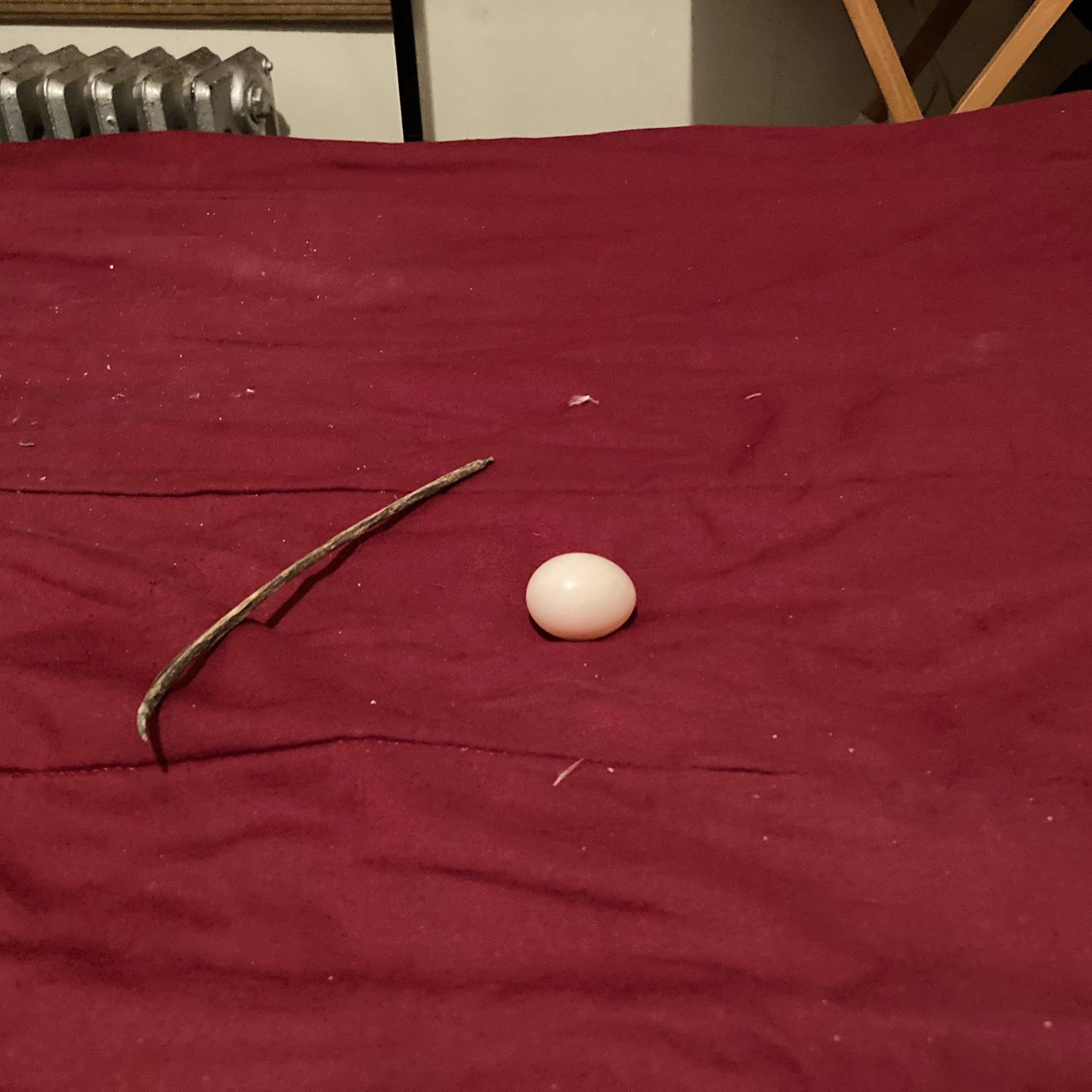 A pigeon nest comprising of a single stick and egg on top of a bed.