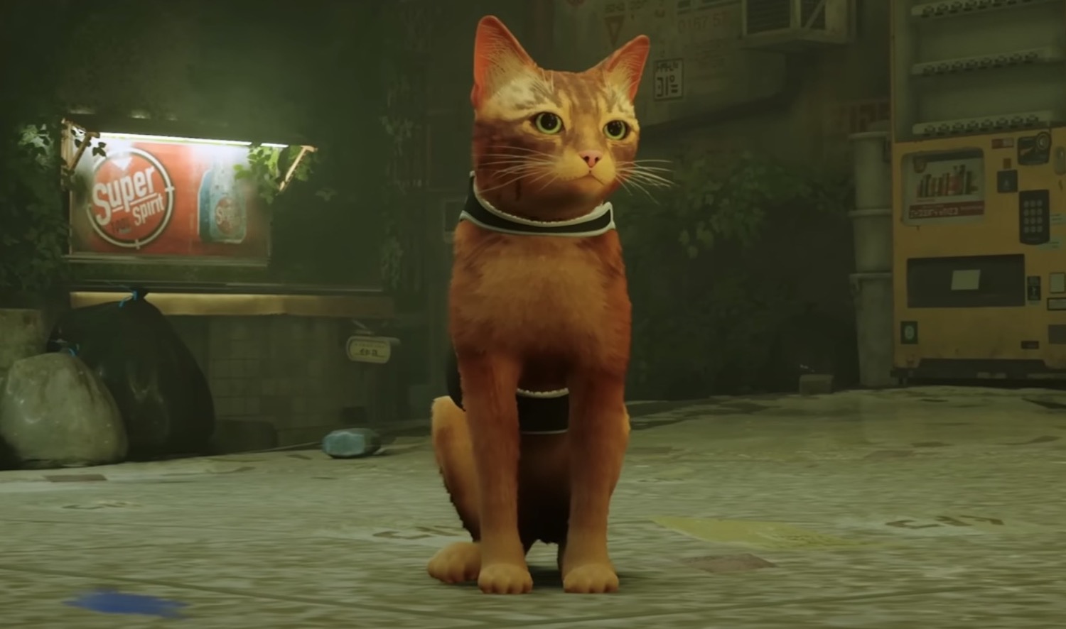 This is why the cat game Stray is getting all of the hype - SoyaCincau