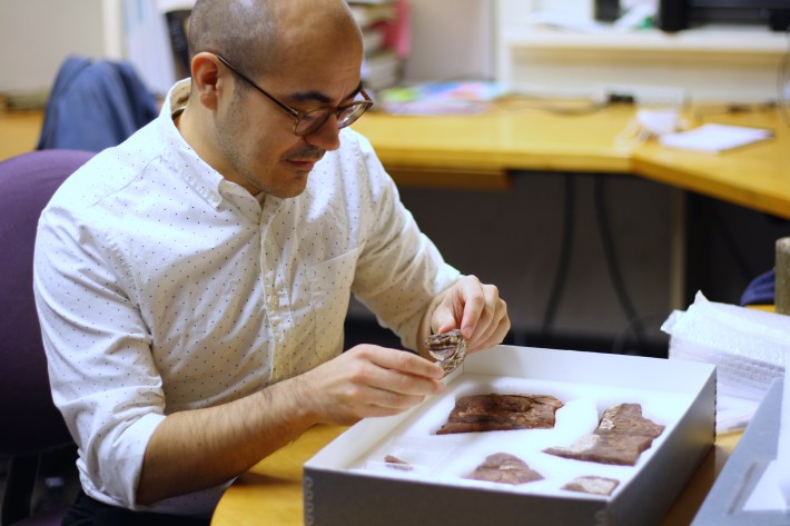 Tom Stewart with the specimen of the fossil fish Qikiqtania.