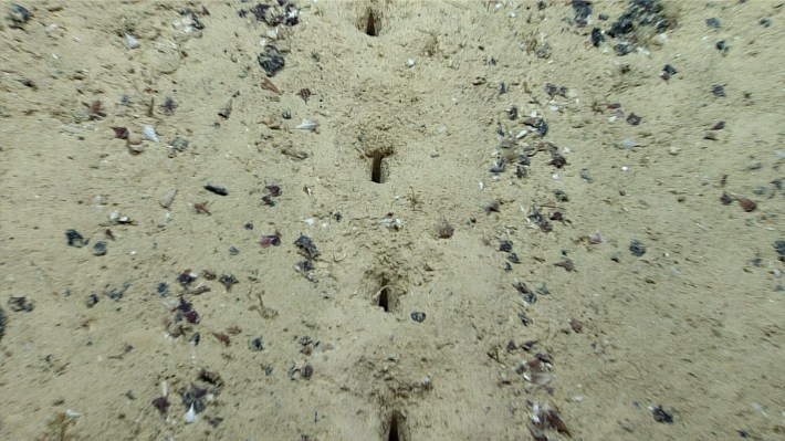 A close-up of the four rectangular holes in the seafloor