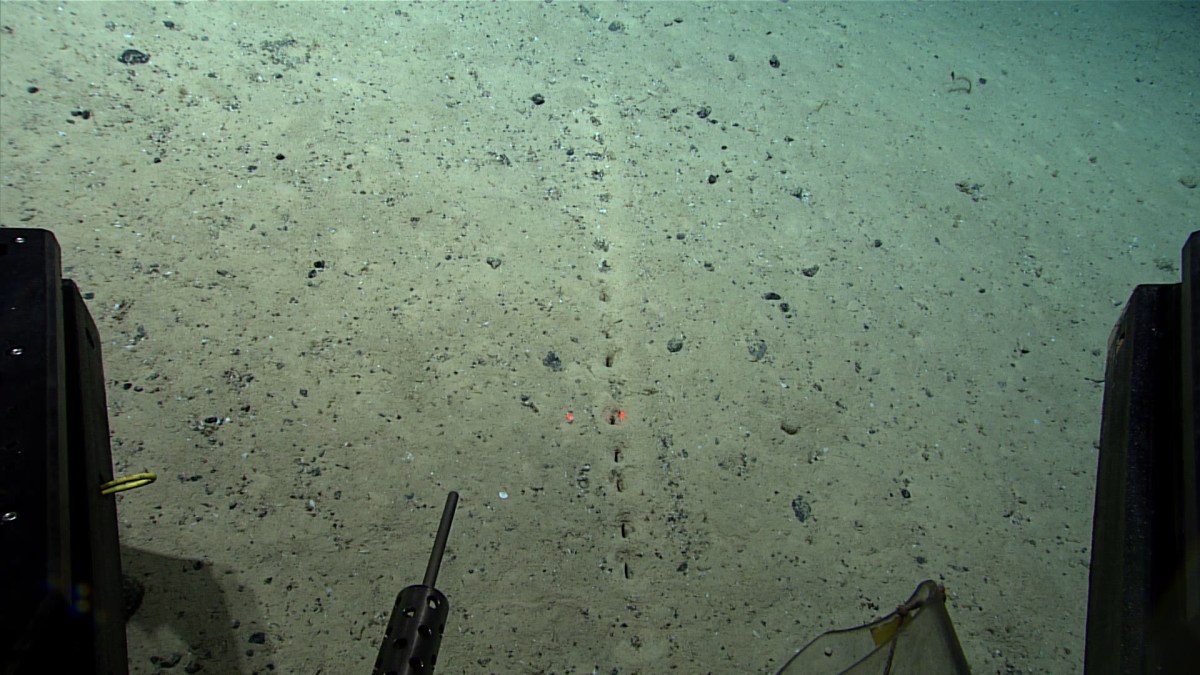 A straight line of rectangular holes in the seafloor, with the metal parts of a remotely operated vehicle visible at the bottom of the image.