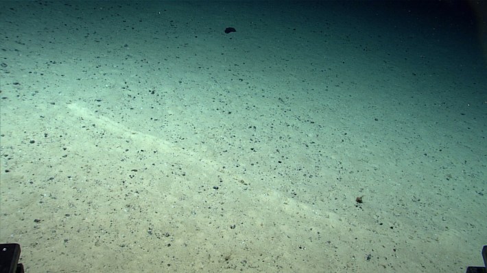 Another side view of the mysterious holes on the seafloor.
