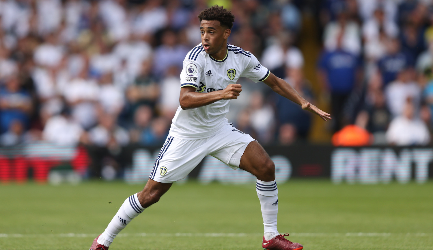 LEEDS, ENGLAND - AUGUST 06: Tyler Adams of Leeds United during the Premier League match between Leeds United and Wolverhampton Wanderers at Elland Road on August 6, 2022 in Leeds, United Kingdom. (Photo by Marc Atkins/Getty Images)