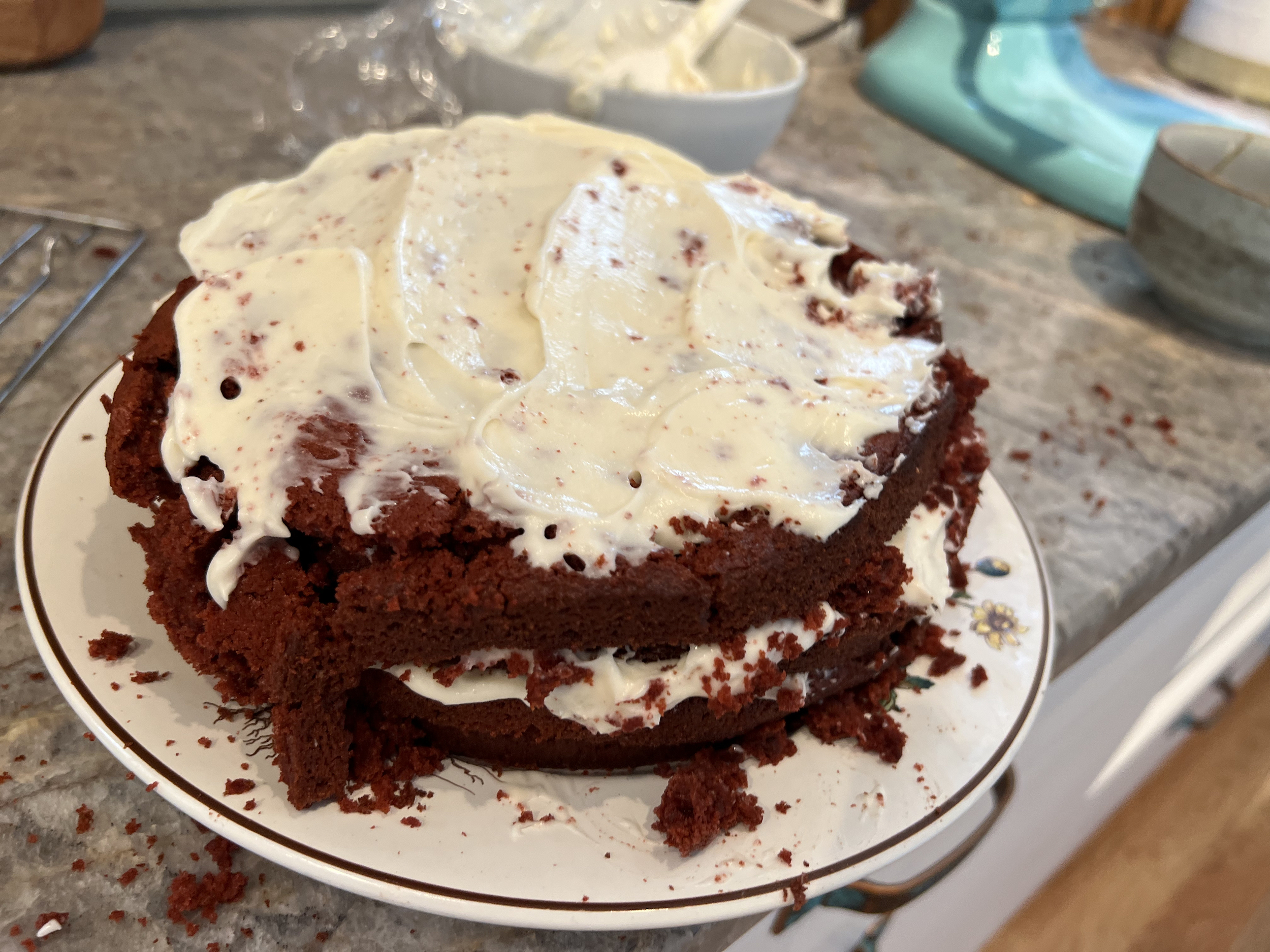 cake mistakes – Susan Joy Clark