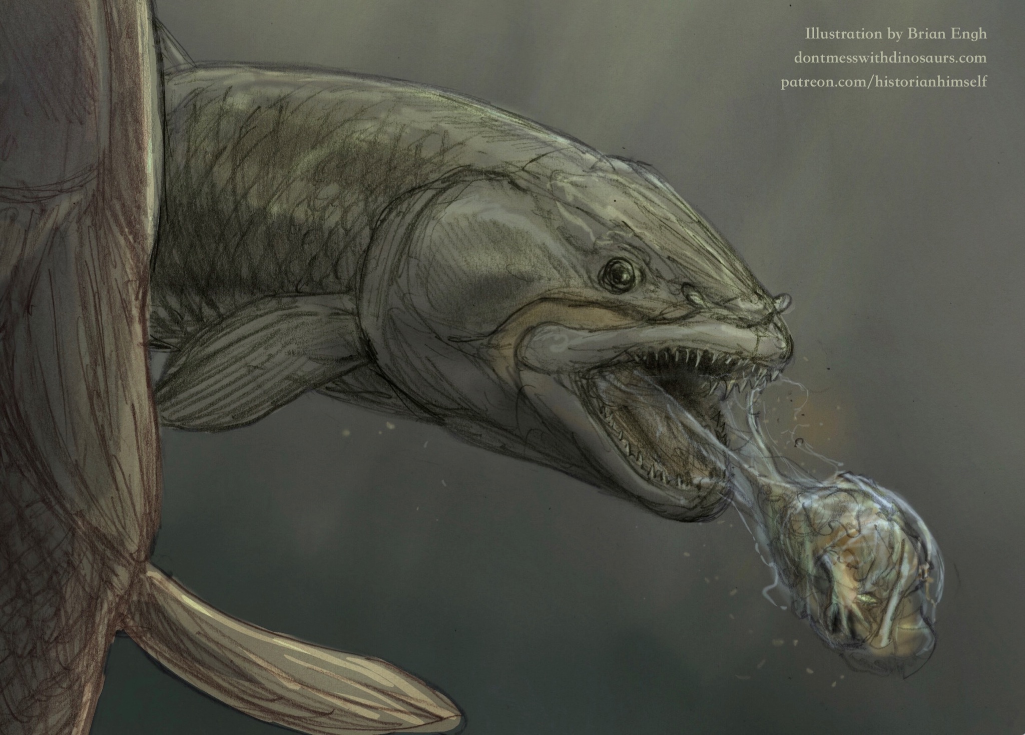 A close up of the illustration of a fish barfing out a frog