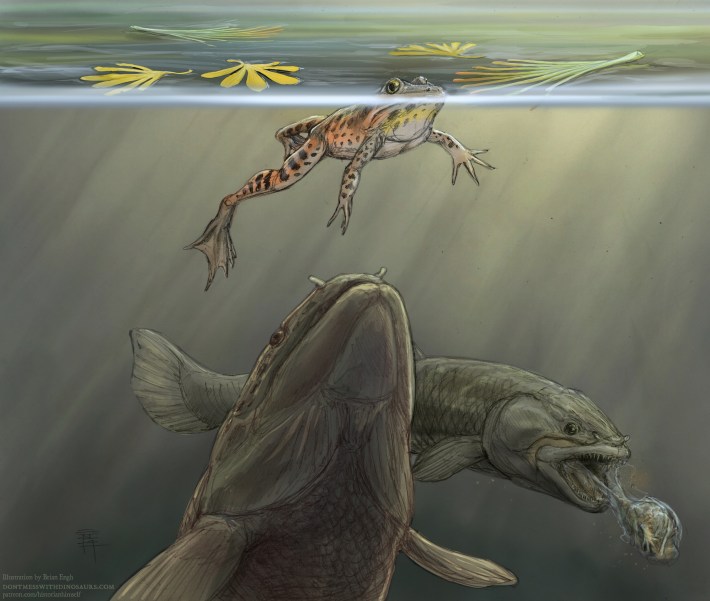 Ilustrasi ikan prasejarah mendekati katak yang tidak sadar di permukaan air, dan ikan lain melemparkan katak di latar belakang