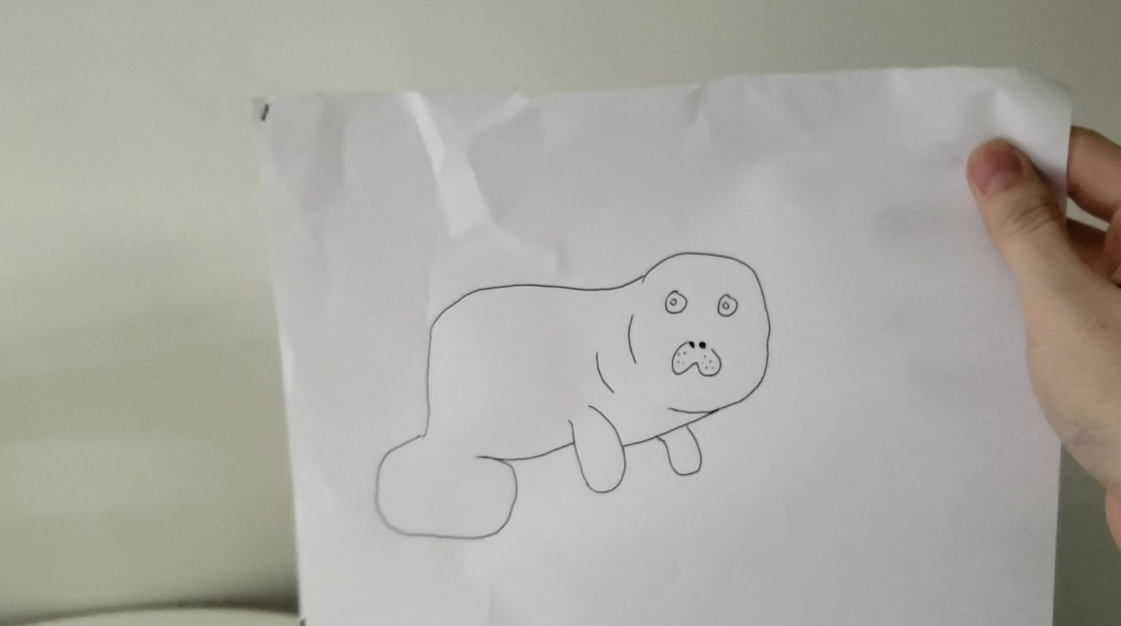 A dugong drawn on a sheet of paper