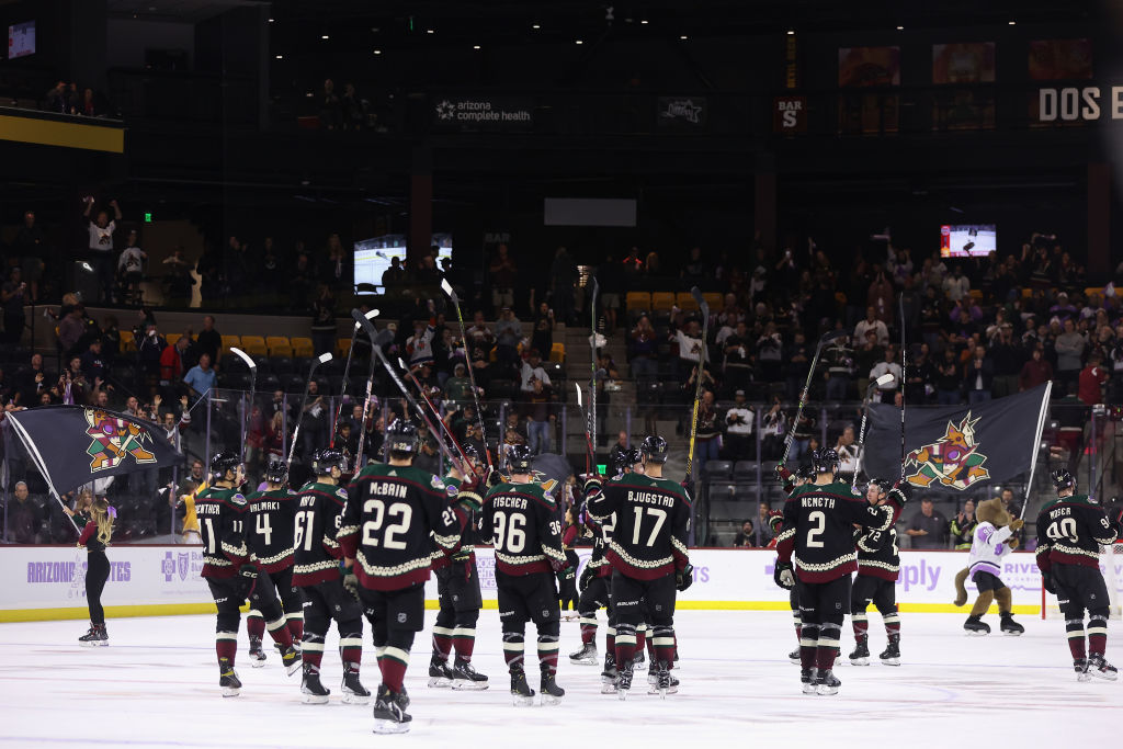 The Arizona Coyotes celebrate after a win