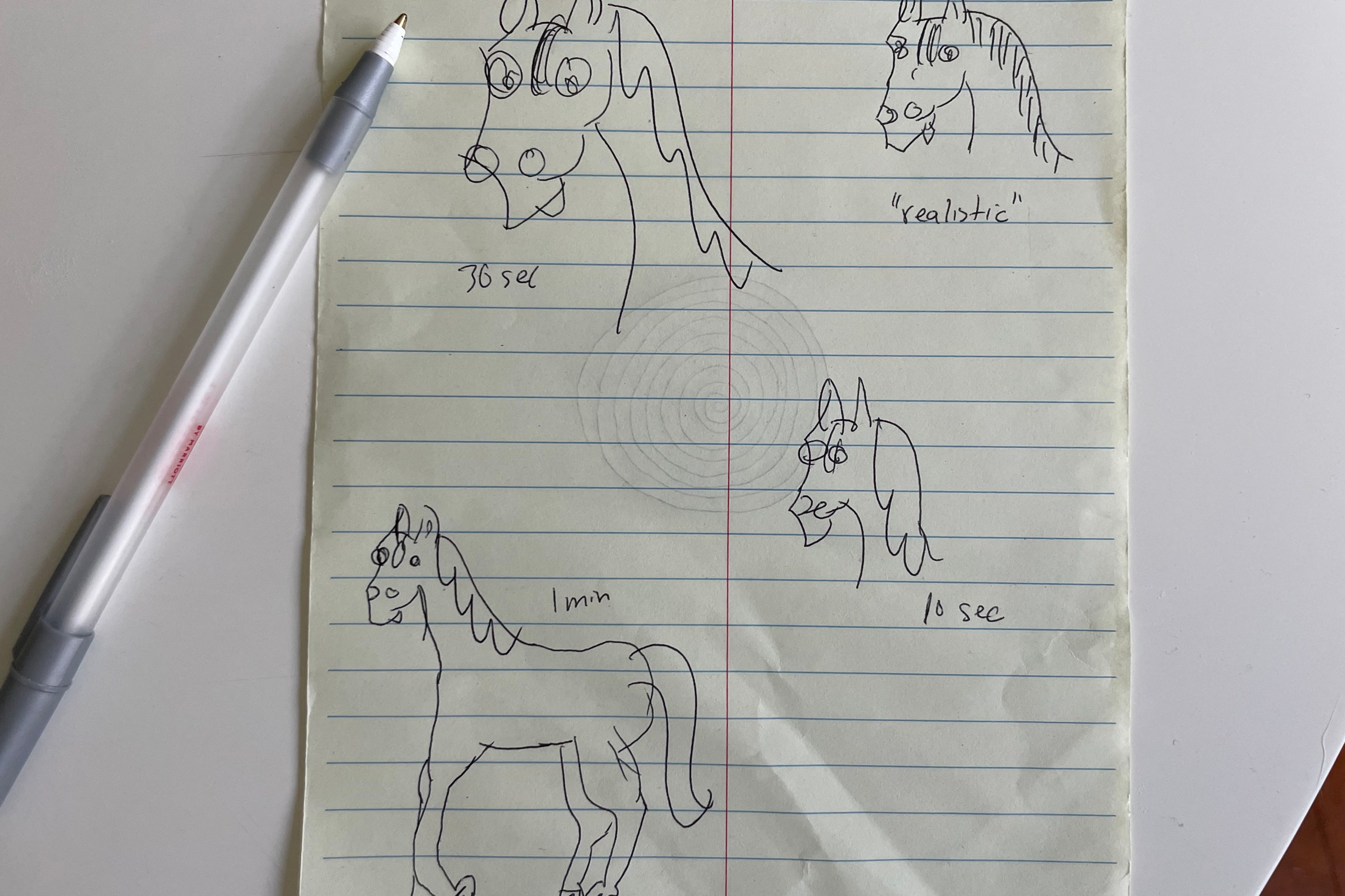 Picture of Laura's horse doodles.