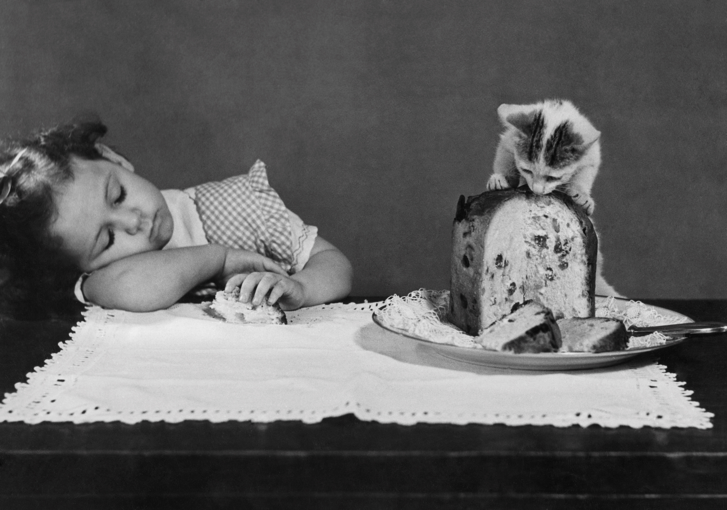 Cat eating a panettone while a little girl sleeping.