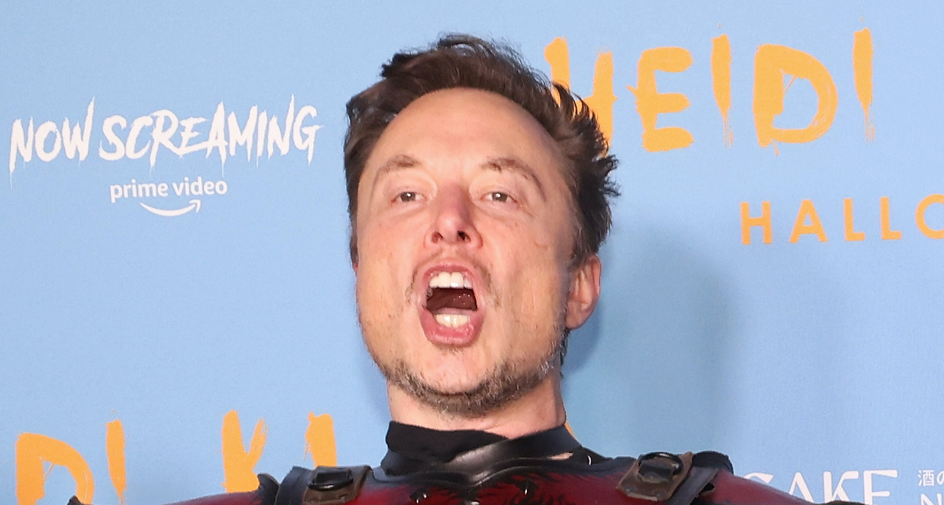 A closeup of Elon Musk's dumb face.