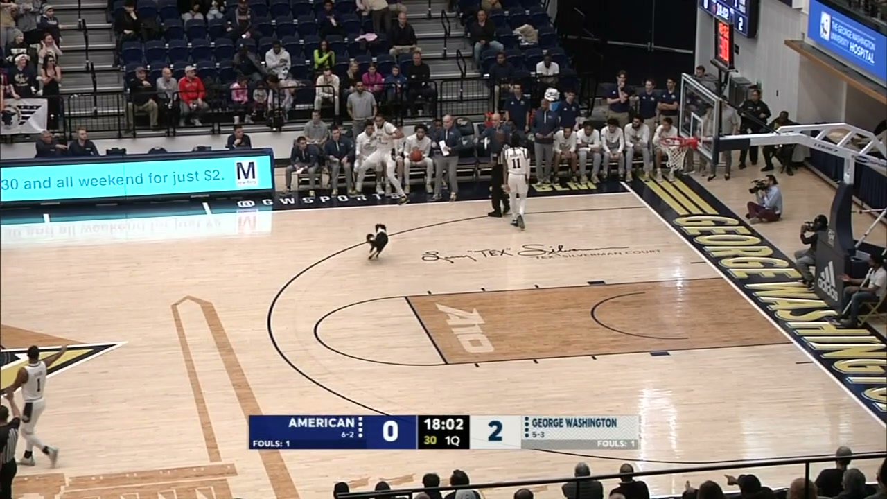 A dog on the court at a George Washington game. No. 4 on George Washington is terrified of him somehow