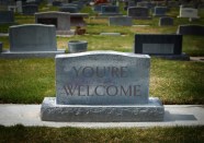 Ways To Reply To Thank You Ranked Defector