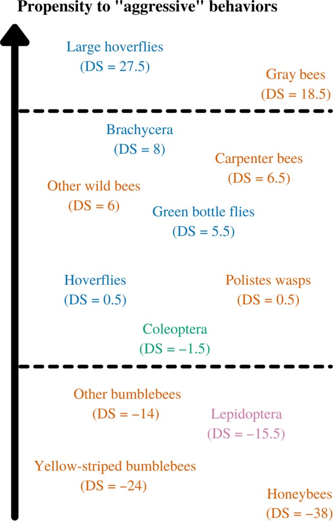 A hierarchy dominance chart that shows large hoverflies at the top and honeybees at the bottom