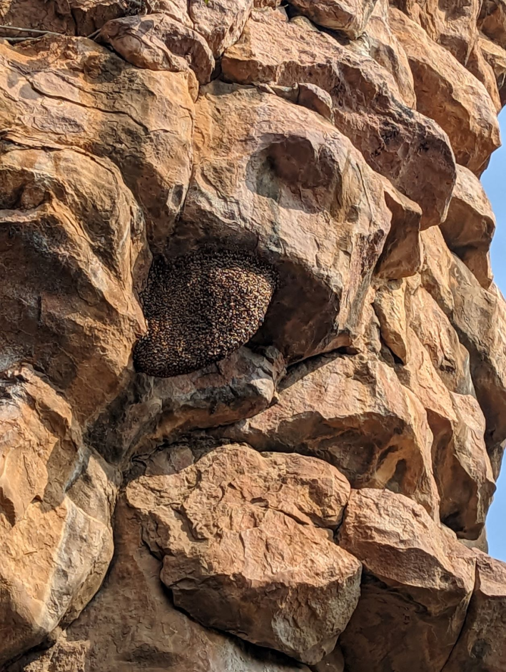 some beautiful rocks at the Bhimbetka Rock Shelters in India with a large beehive