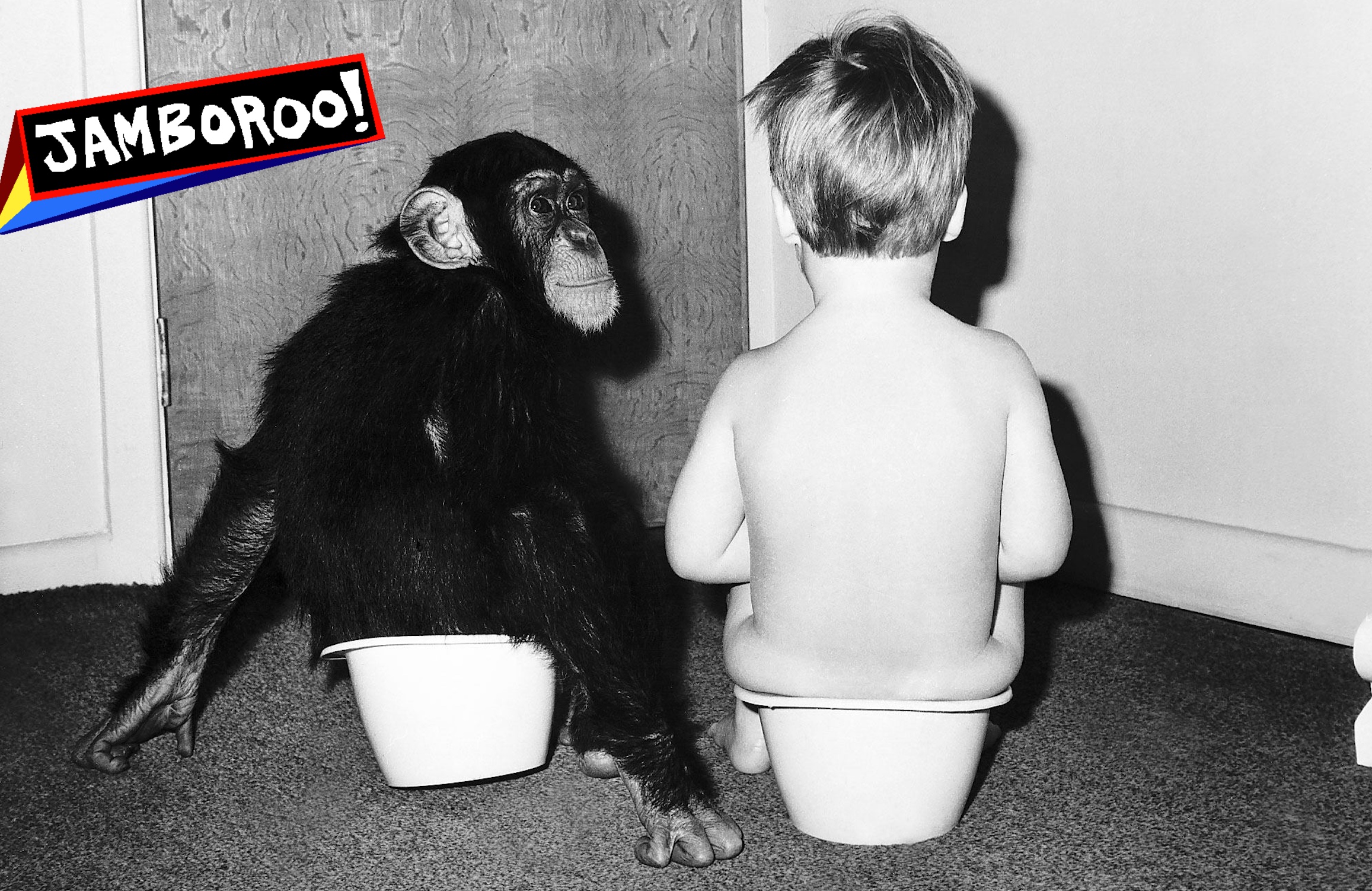 A boy and a chimpanzee doing their business together. 13th March 1970. (Photo by Daily Mirror/Daily Mirror/Mirrorpix via Getty Images)